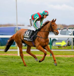 Vieux Lion Rouge Cause of Death-Obituary